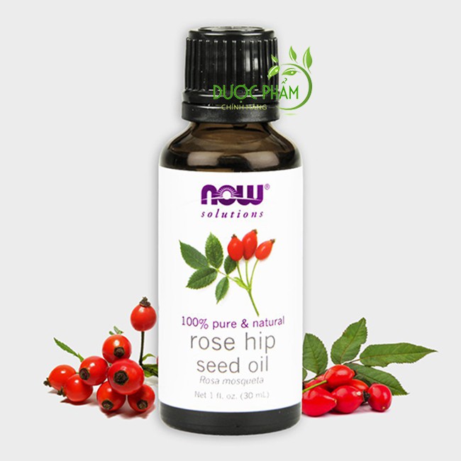 Tinh dầu nụ tầm xuân Now Rosehip Seed Oil