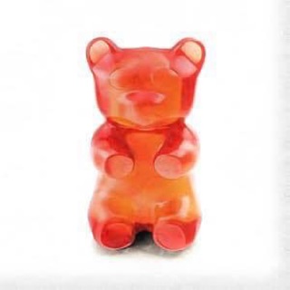 vitaminbear.store