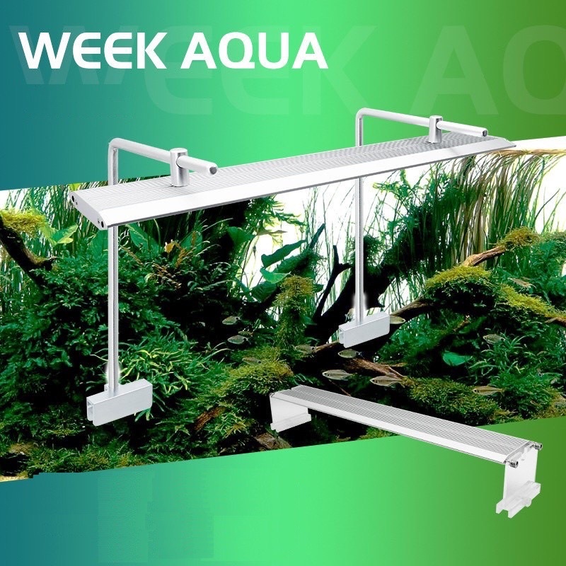 Đèn WRGB Week Aqua Pro series M450