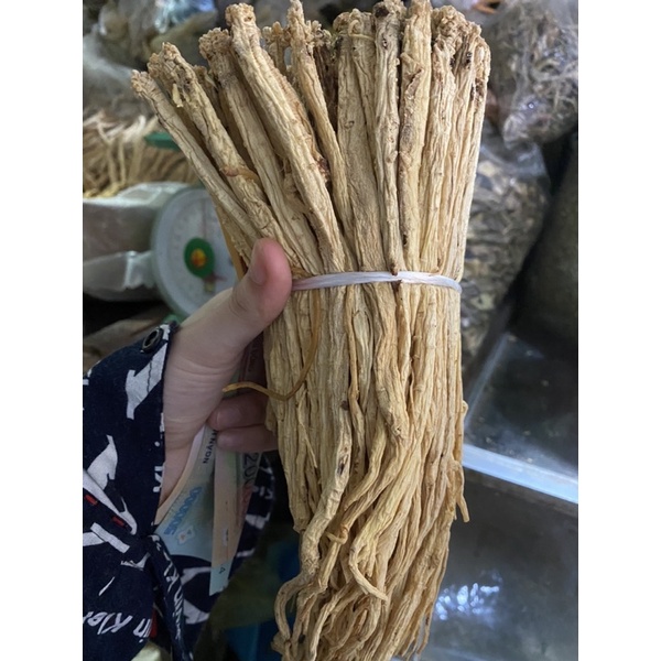 Đẳng Sâm loại 1