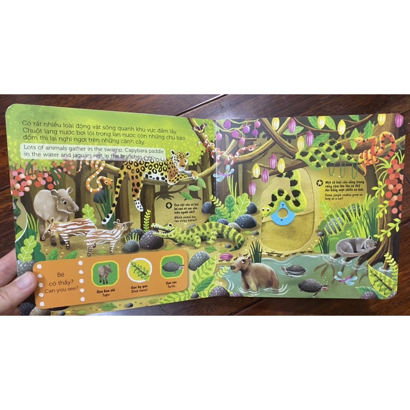 Sách Chuyển Động - First Explorers - In The Jungle - Trong Khu Rừng