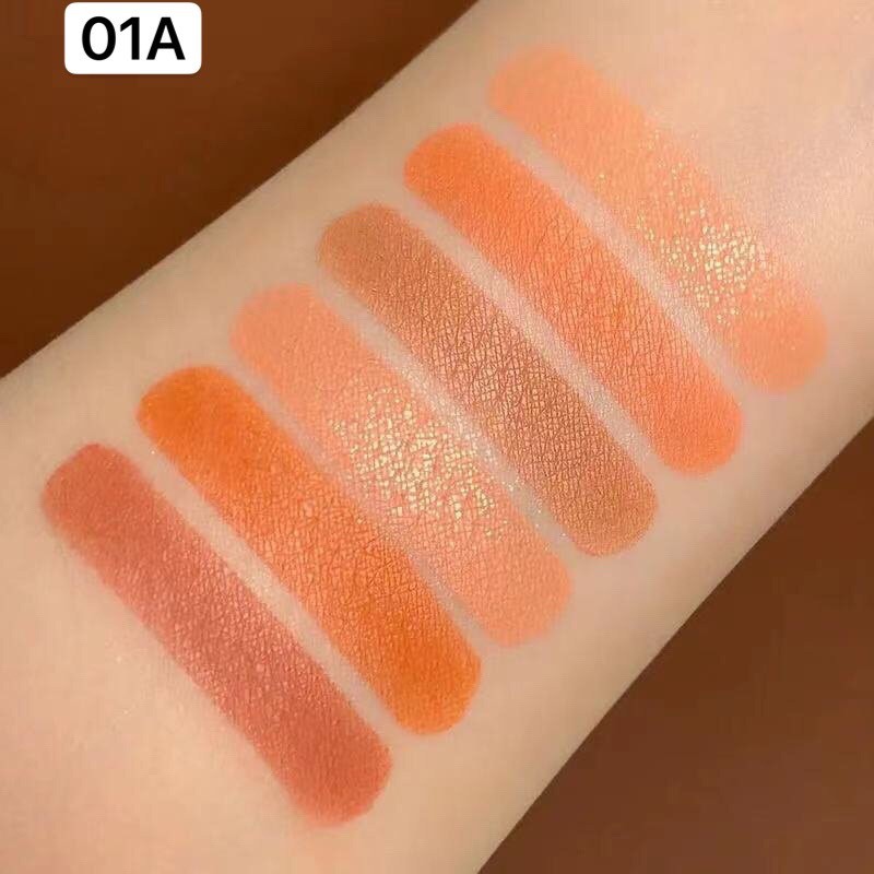 Bảng phấn má hồng 6 ô màu hạt dẻ XIYUAN mỏng mịn tự nhiên Chestnut Six-color Blush Powder Tray hottrend hottiktok XIYU05 | BigBuy360 - bigbuy360.vn