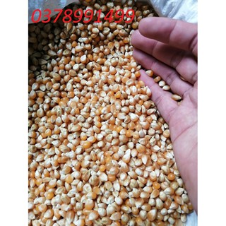 bắp nổ bắp rang bơ 1kg