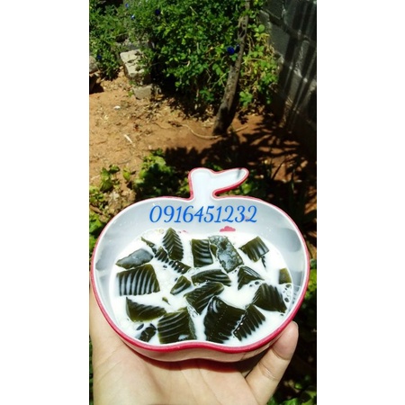 Lá sương sâm lông khô 100g + bột nang mực