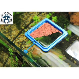  Vòng cho cá ăn hình vuông 10*10