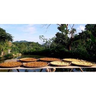 Măng Rối Khô | Bản Rùa