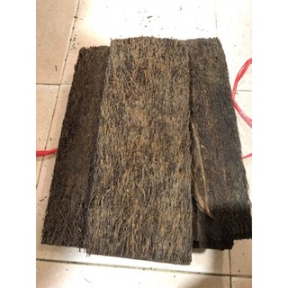 Dớn bảng trồng lan