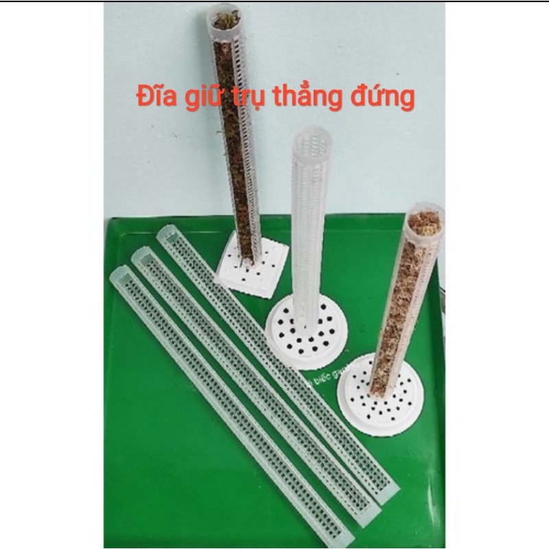 Đĩa giữ trụ trồng cây thẳng đứng