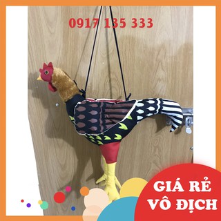Gà Bông Tập Lực Cho Gà Đá