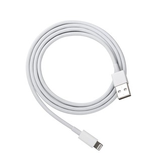 Combo cục sạc Iphone A21 và  cáp sạc nhanh iphone foxconn
