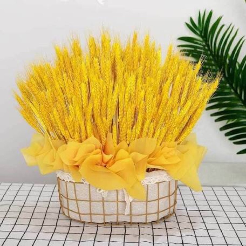 Cuộn giấy vân long