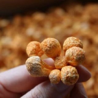 Set canh dinh dưỡng - canh bào ngư