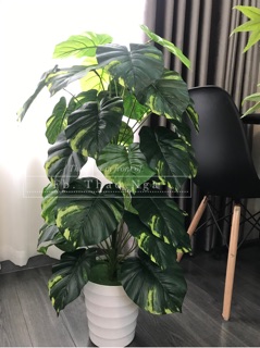 Cây trầu bà giả 1m