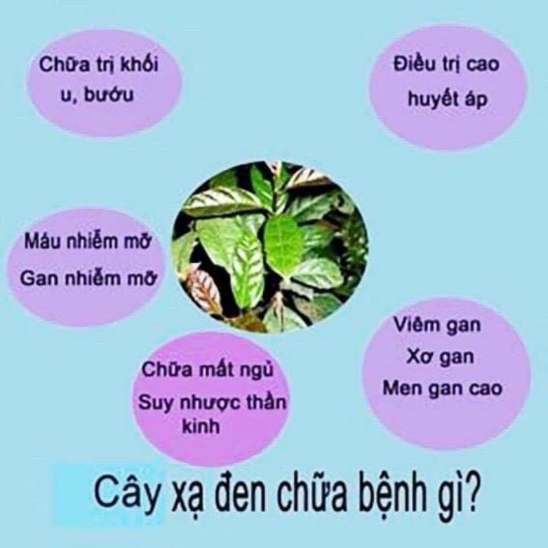 TRÀ GẠO LỨT XẠ ĐEN 500G - THỨC UỐNG GIẢM CÂN CHO VÓC DÁNG THON GỌN - AN THẦN -  GIẢM CĂNG THẲNG