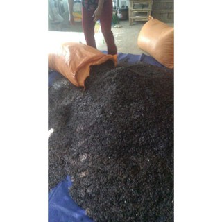 Sỉ giá gốc hạt bí mèo đen 500g