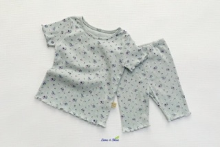 Bộ cộc Lime & blue made in korea
