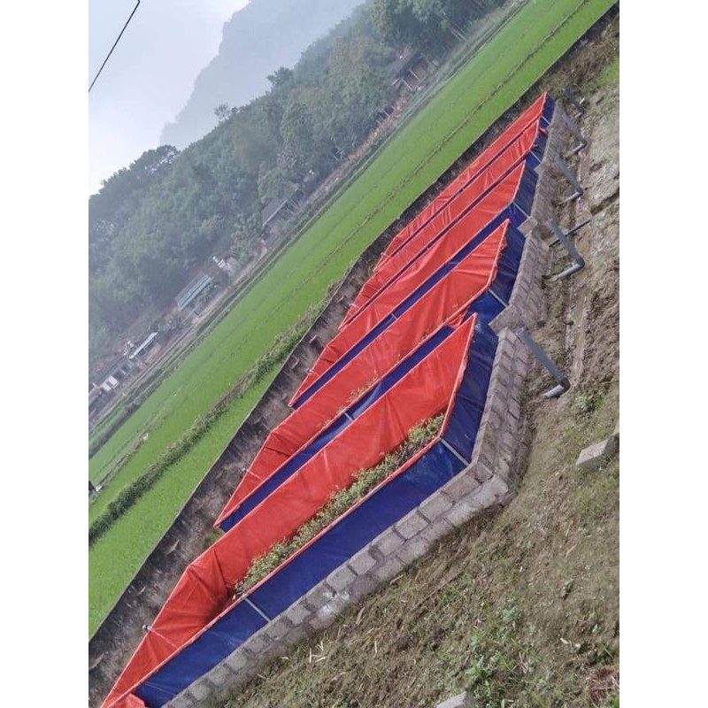 Bể bạt nuôi cá ốc ếch lươn - loại 4x2x0,5