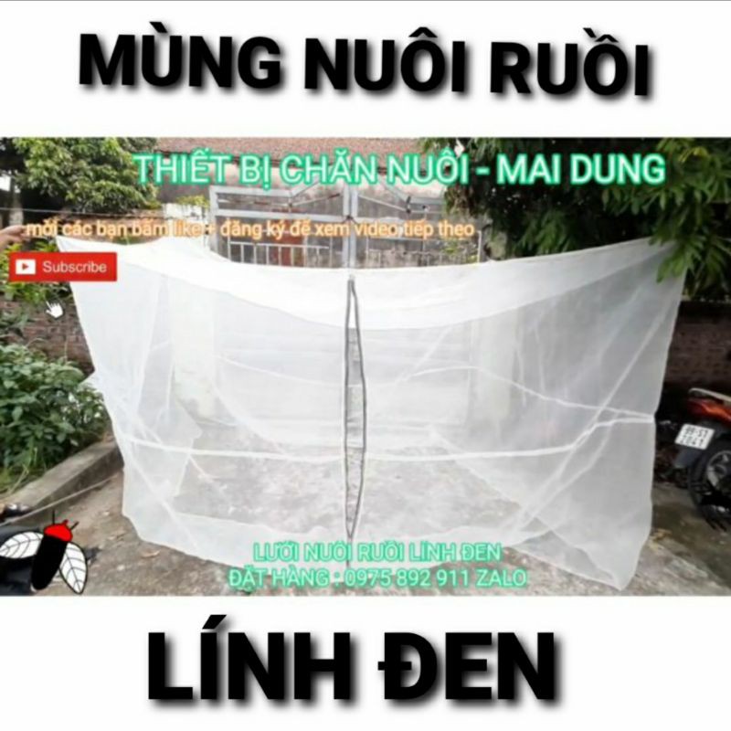 Mùng nuôi ruồi lính đen - Mã số 232