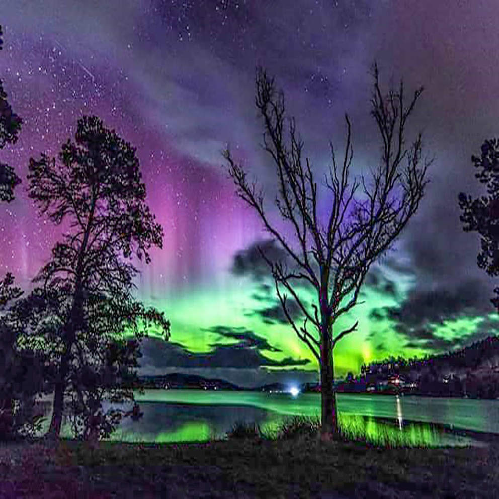 Bộ Tranh Đính Đá Tự Làm 5D DIY Cho Người Lớn