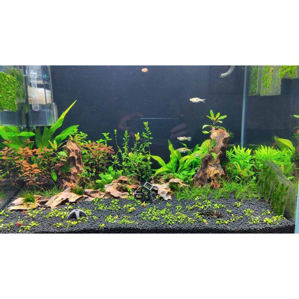 Men vi sinh cao cấp extrabio làm sạch nước