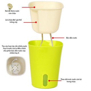 chậu cây tự động tưới nước