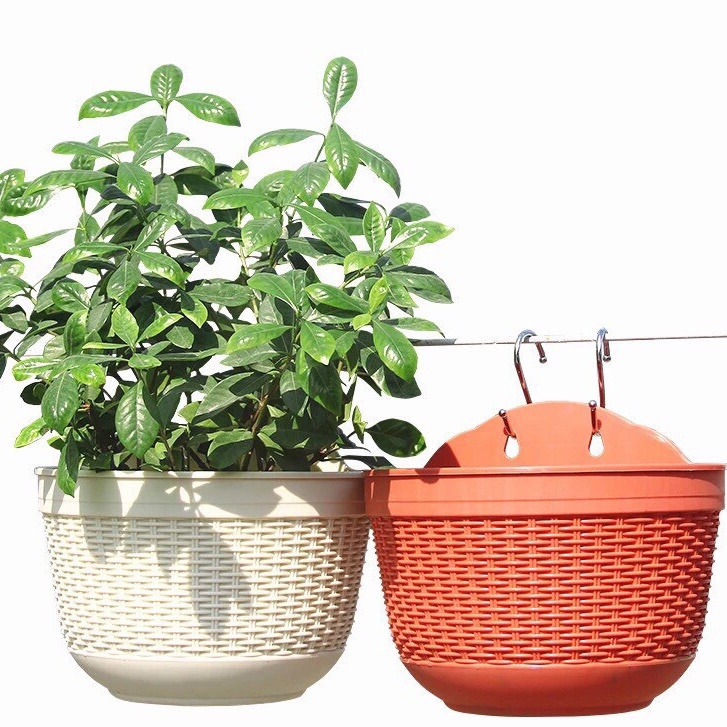 Chậu ốp tường Đan Mây, chậu trồng hoa trang trí hàng cao