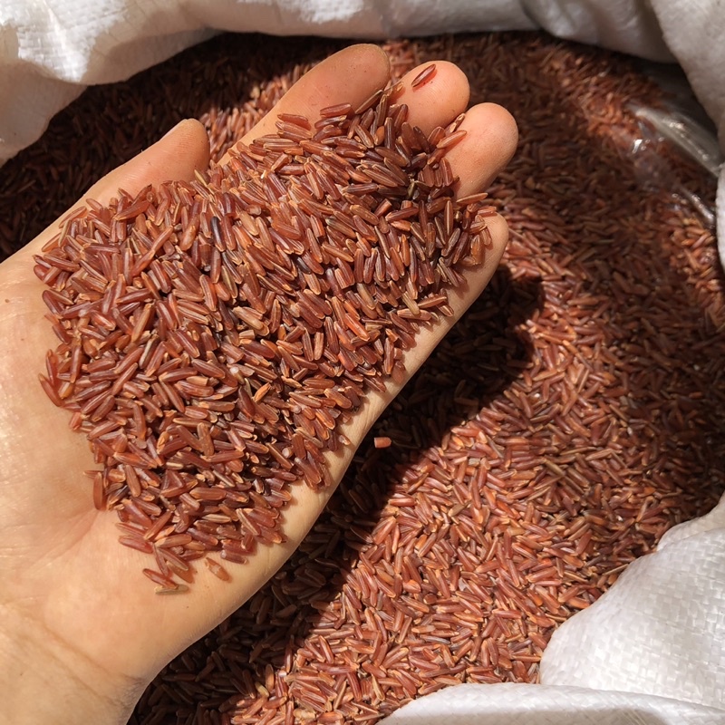1KG TRÀ ĐẬU ĐEN XANH LÒNG RANG SẴN-quà tặng ý nghĩa-quà tặng sức khoẻ