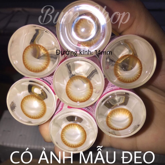 Lens Hàn nâu tây giãn nhỏ, tặng kèm khay gương