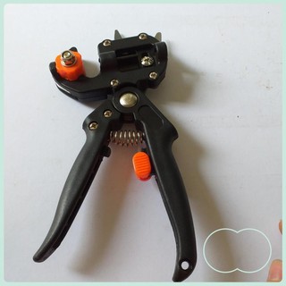 Kéo chiết ghép cành cây