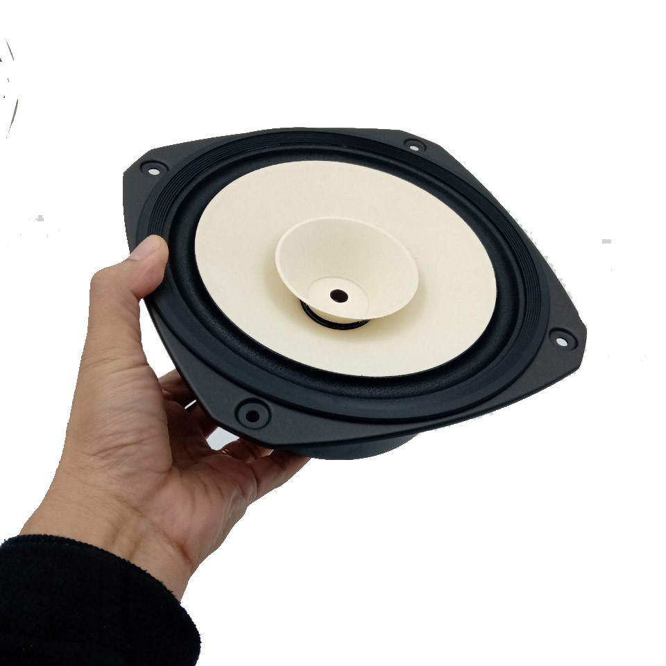 Củ loa rời toàn dải 20cm Fostex FE206NV, giá bán theo cặp