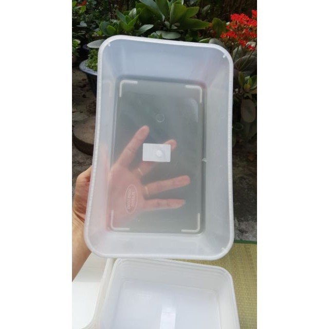 Khay làm đá SONG LONG 2 kg/3kg | BigBuy360 - bigbuy360.vn