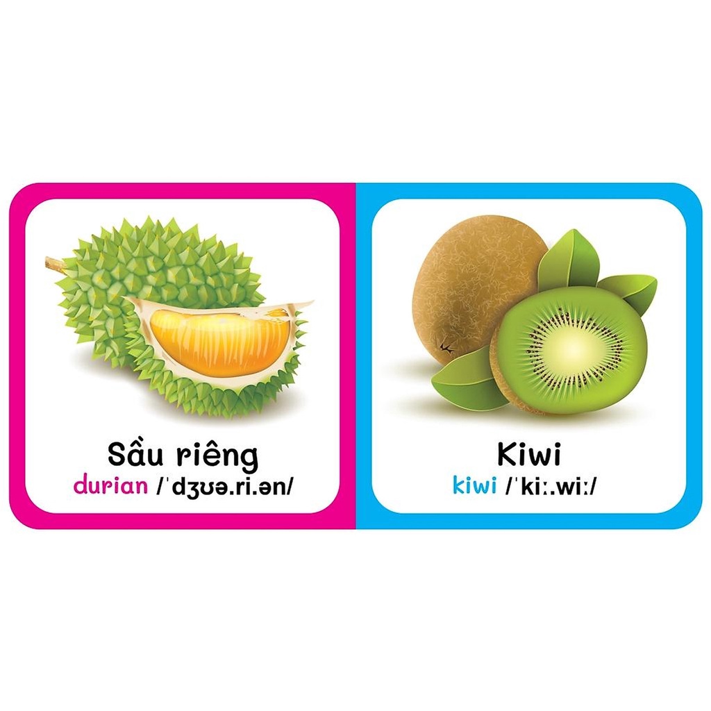 Sách - Baby'S First Picture Dictionary - Từ Điển Bằng Hình Đầu Tiên Của Bé - Trái Cây - Fruits