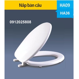 HA09T -  Nắp bồn cầu nhựa gắn vừa cho bồn cầu VI66, VT18M, VI77 của Viglacera