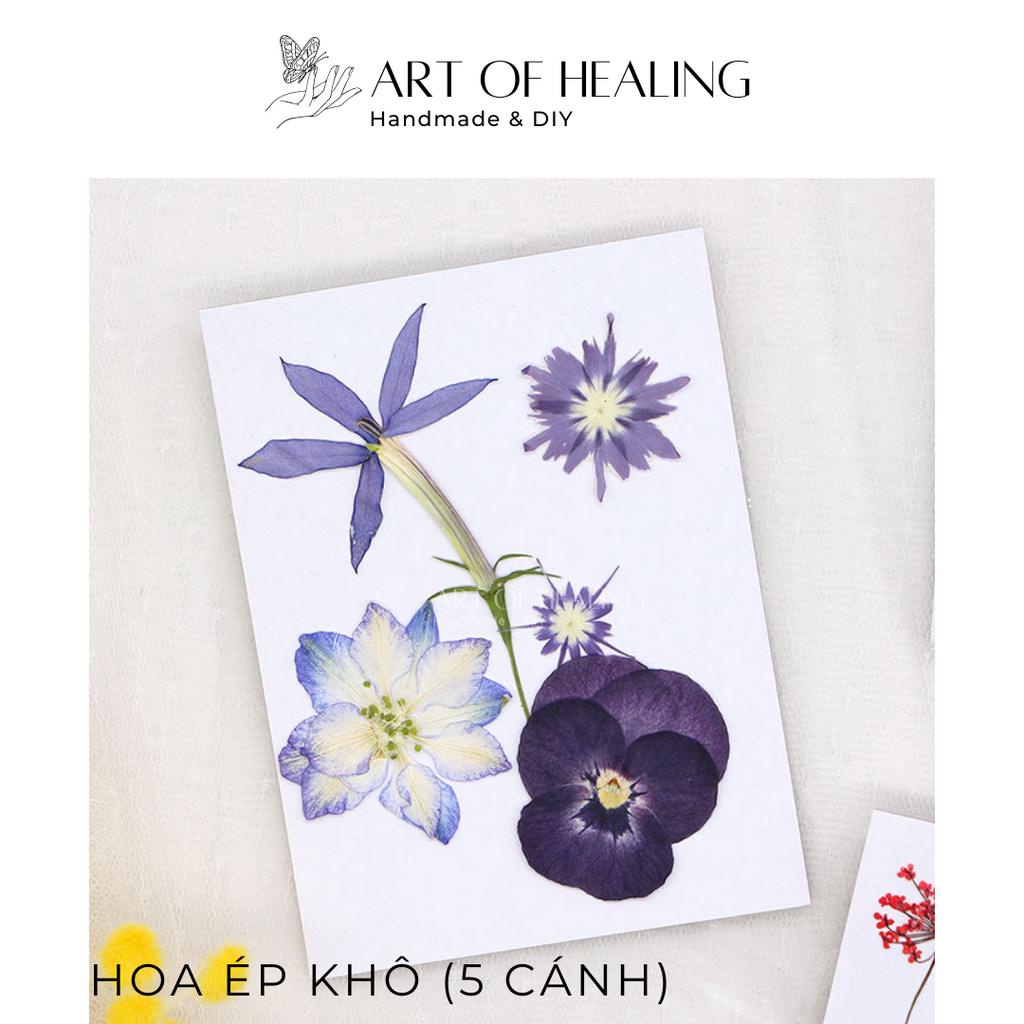 Set hoa ép khô các loại trang trí nến, resin, sổ tay, decor - 5 cánh  - Handmade & DIY