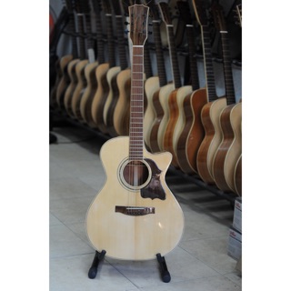 Đàn Guitar Acoutic HD-220