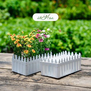 Chậu Hàng Rào dài 2 tấc trồng hoa kiểng dễ thương