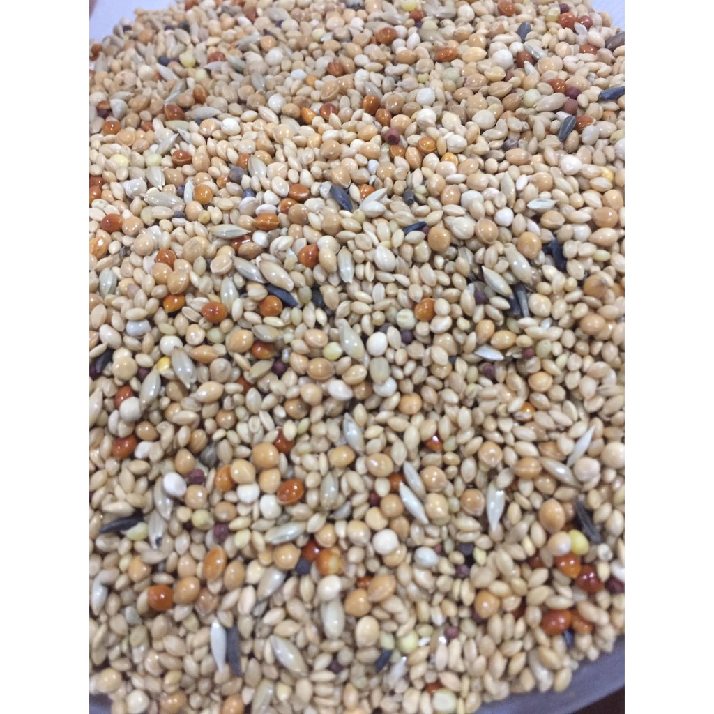 Thức ăn/ hạt trộn cho chim  manh manh, 7 màu, bạc má, sắc nhật,.... hàng  MANITOBA XUẤT XỨ Ý 1KG