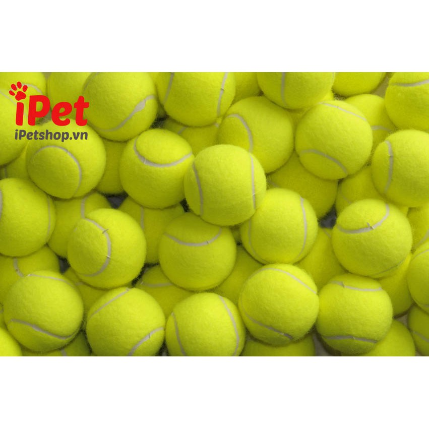 Đồ chơi banh tennis cho chó mèo - iPet Shop