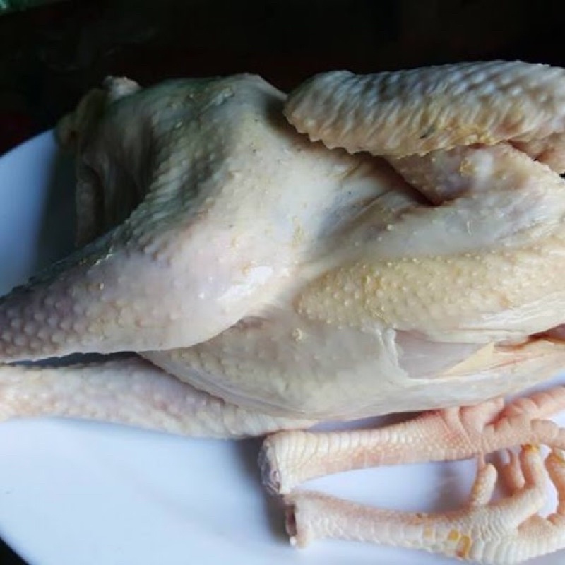 Gà ta làm sẵn