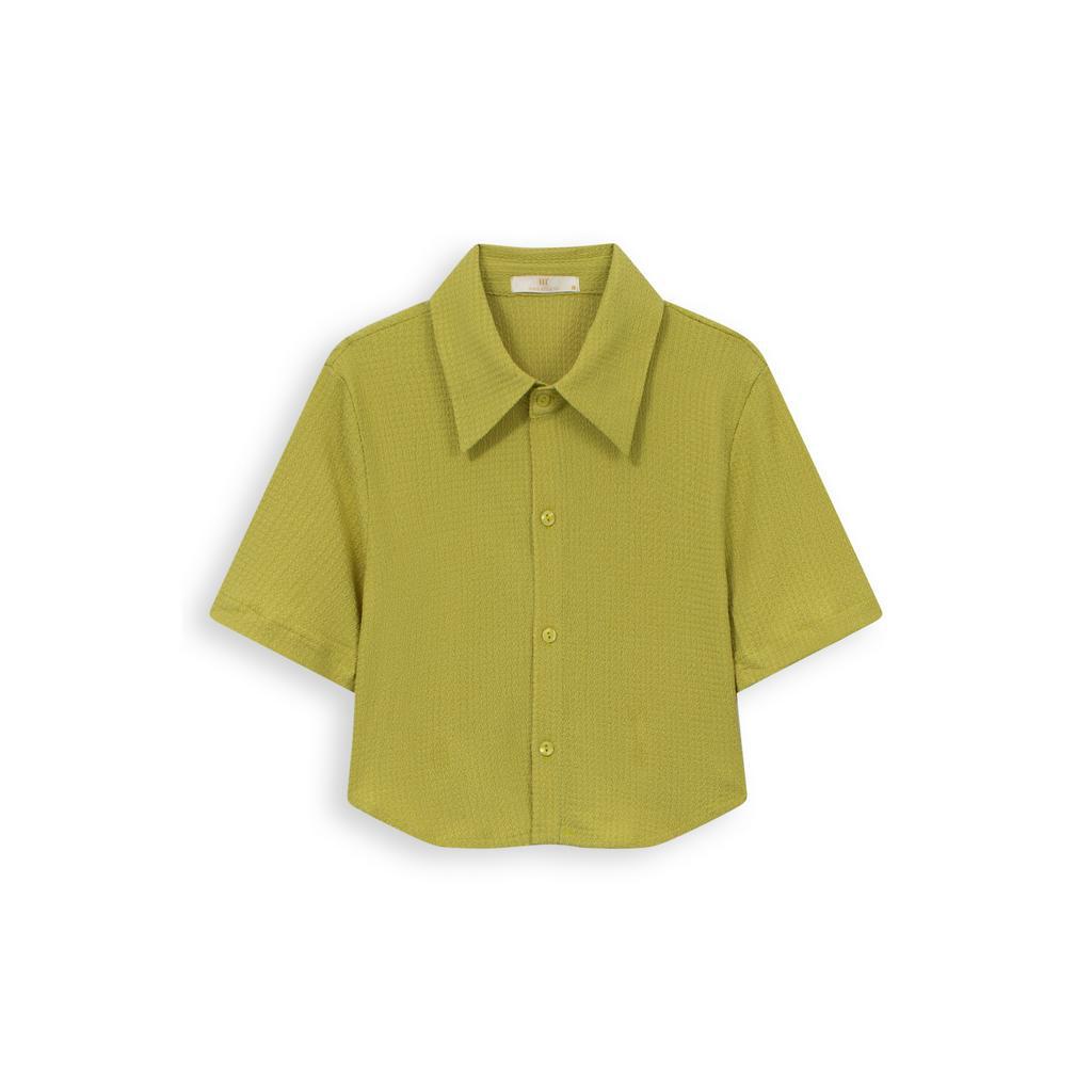 Áo thun nữ Méo shop form ôm cổ sơ mi tay ngắn croptop Navi