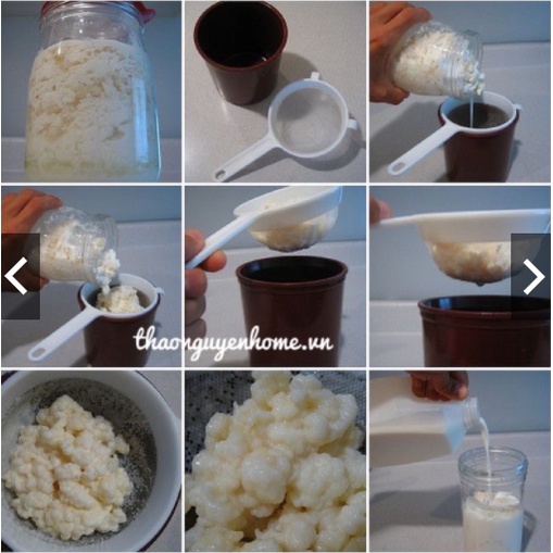 Rây lọc nấm Kefir, lọc trà, lọc cháo, rau củ
