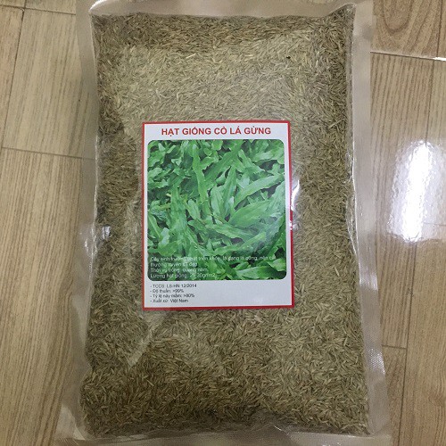 500 Gam - Hạt Giống Cỏ Lá Gừng Chất Lượng Cao- Lucky Seed.