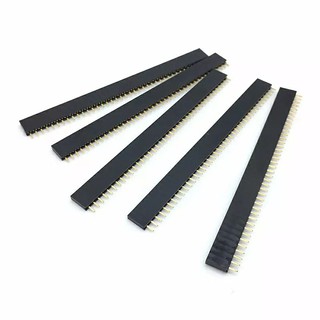 Hàng rào cái, đơn, lỗ vuông, chân thẳng 40 pin cho arduino