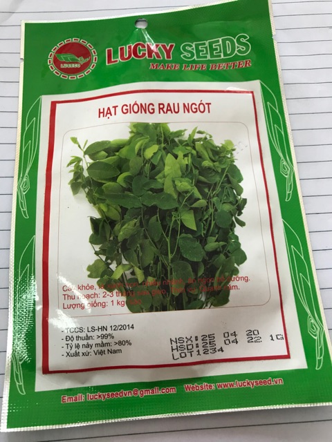 Hạt giống rau ngót- gói 1 gam