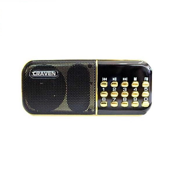 LOA PHÁP, LOA THẺ CRAVERN CR25 - CÓ PHÍM SỐ VÀ LCD - NTH