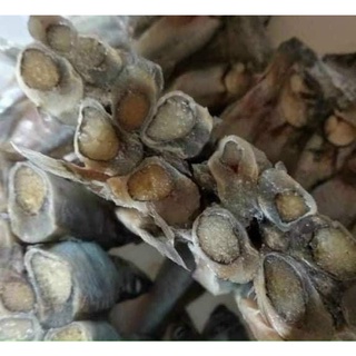 Cá Trứng Nauy [Ship Hoả Tốc]