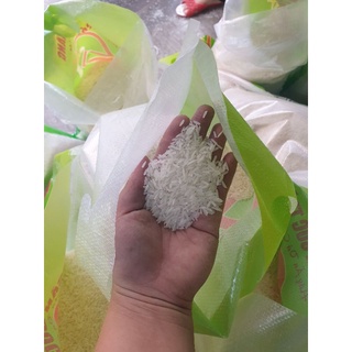Gạo ST25 nhà máy