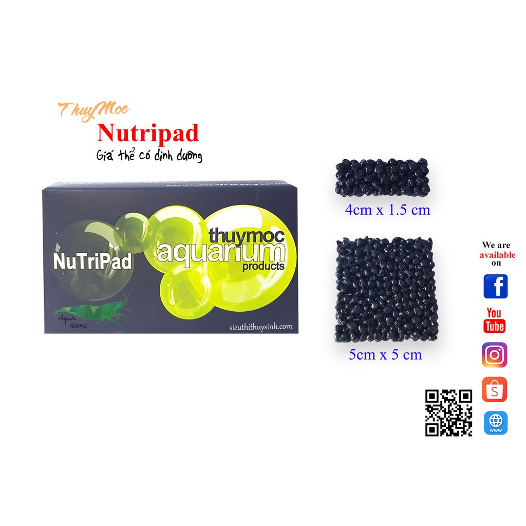 NUTRIPAD THANH GIÁ THỂ DINH DƯỠNG CHO RÁY, BUCEP, DƯƠNG XỈ (Miếng lẻ)