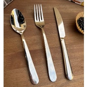 Set 6 món dao, thìa, dĩa inox tráng gương cao cấp Royal Vankempen (kèm hộp)
