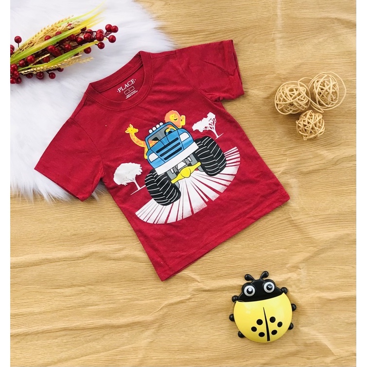 🦖 Áo cotton Place xuất bé trai từ 10-25kg